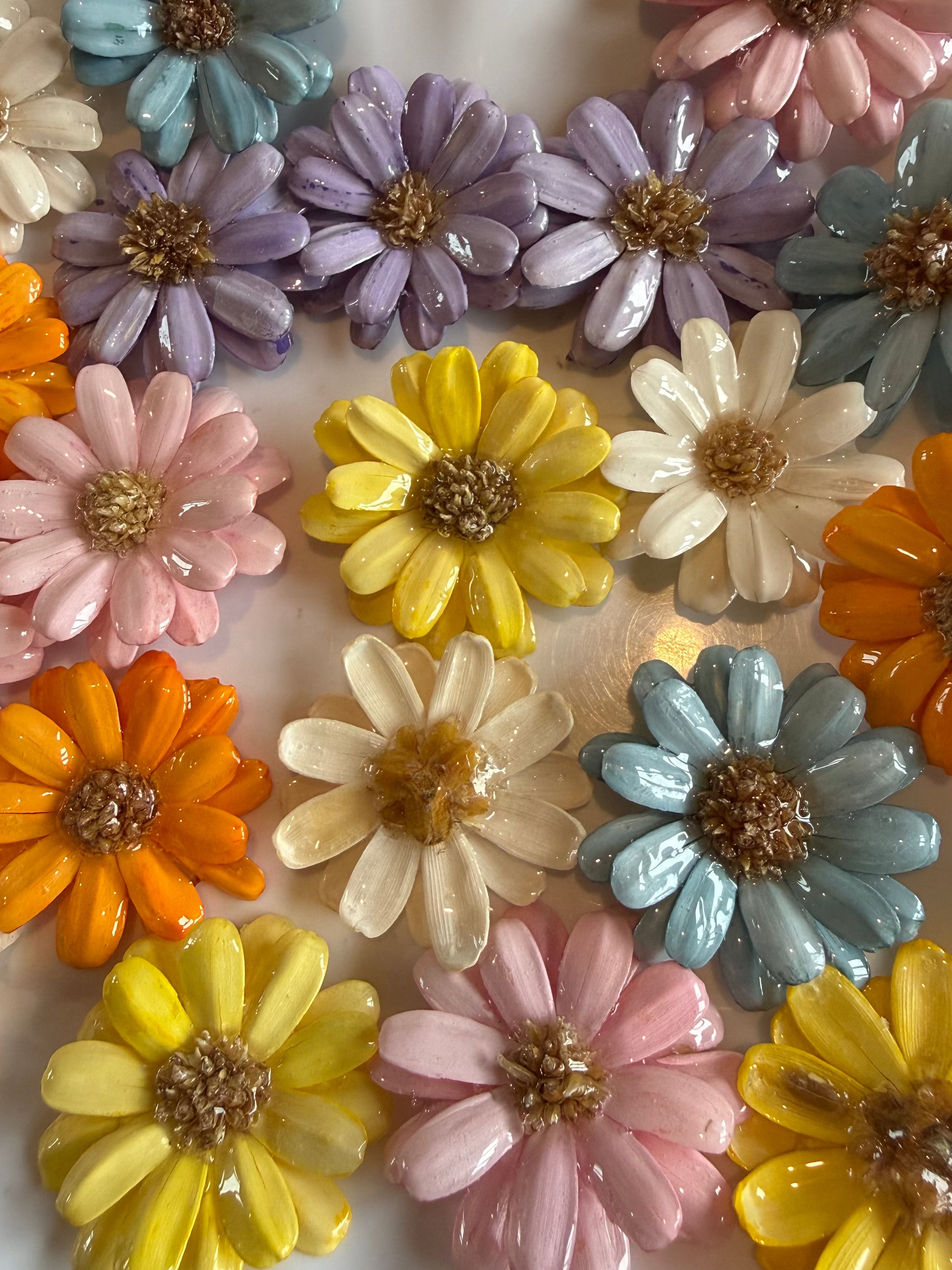 Dried Flower Cabochons - various colours